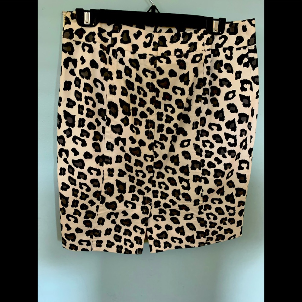 Merona Skirt